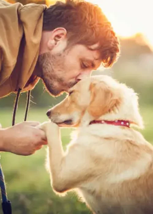 istockphoto 1344938288 612x612 1